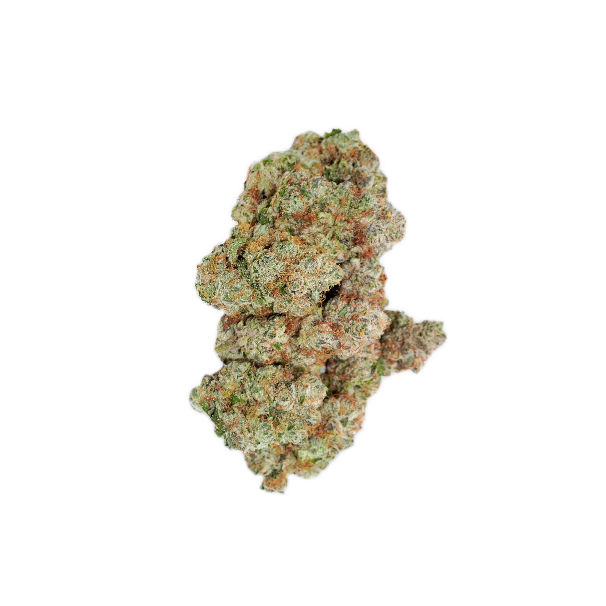 avaay Signature 31/1 OGC Ocean Grown Cookies